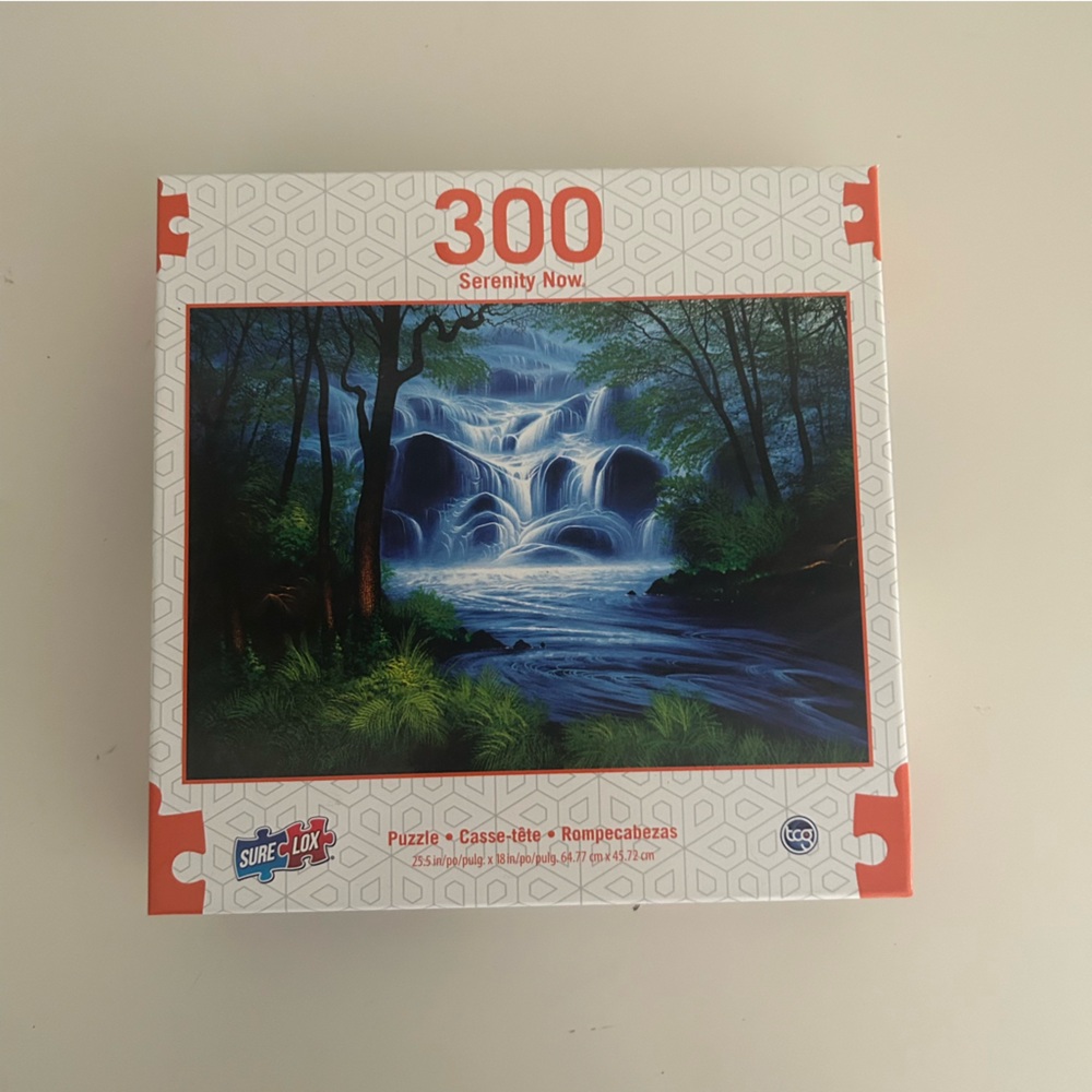 300 Piece Puzzle